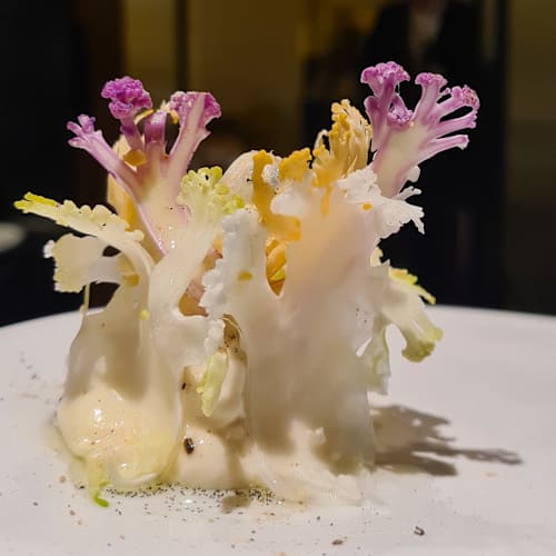 Fleur de Pavé, Paris