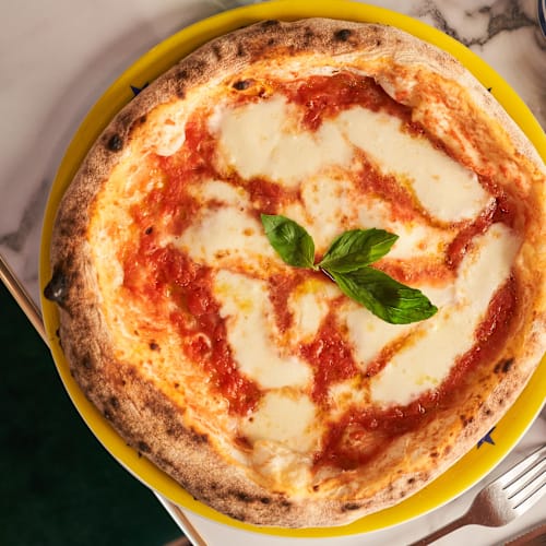 Piperno Chartres, Chartres