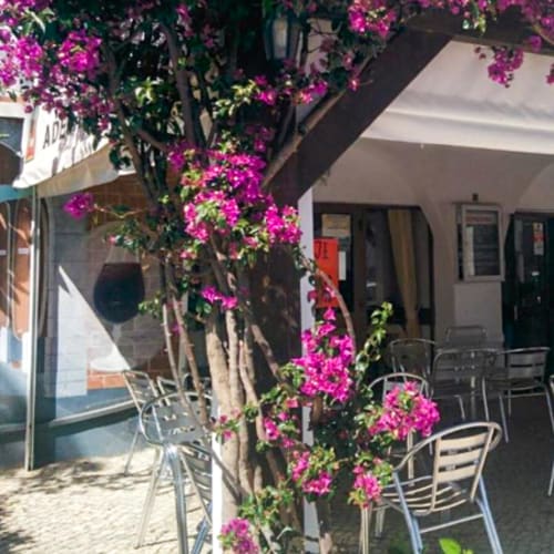 Adega do David, Albufeira