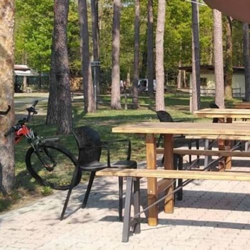 Sbevizzola, Vizzola Ticino