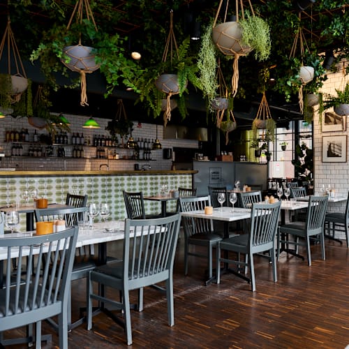 Swede Hollow, Stockholm