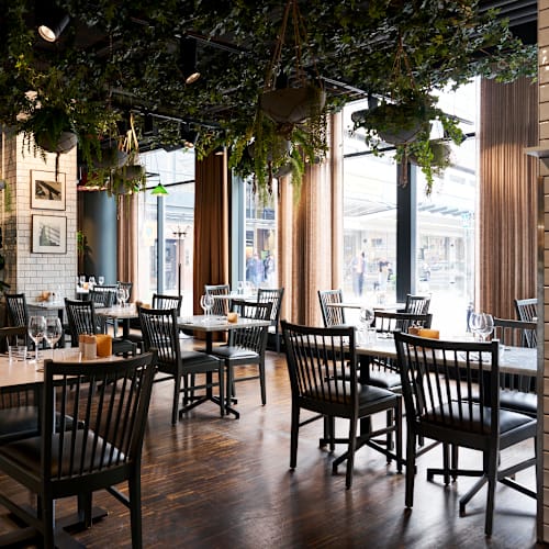 Swede Hollow, Stockholm