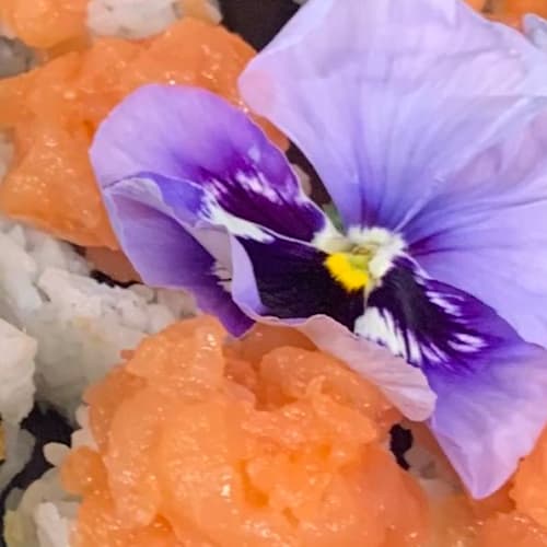 Kaizen Sushi Bar, Fermo