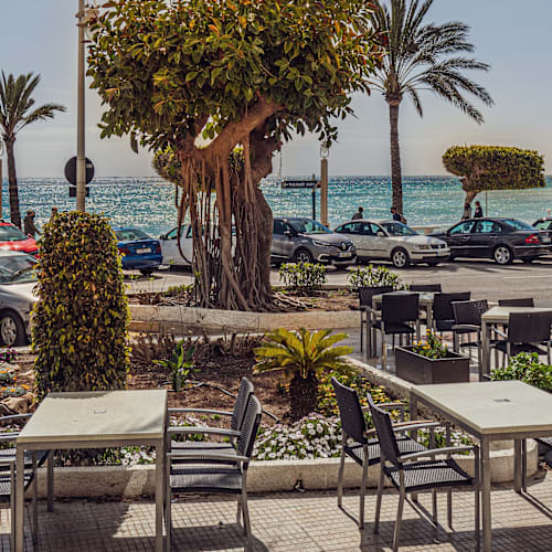 345 Pizza Fusion Today, Altea