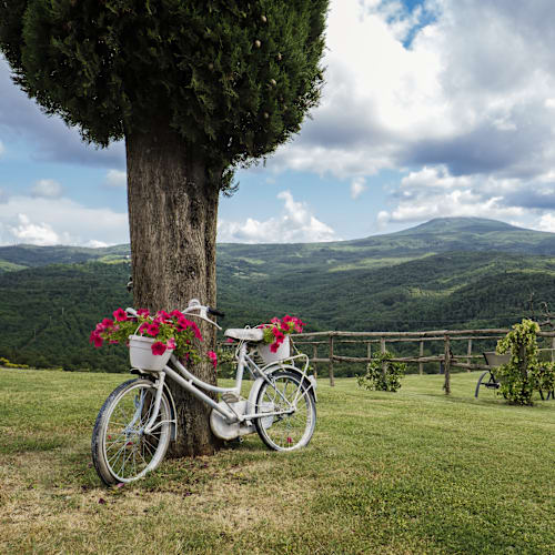 Terre di Giorgio, Castiglione D'orcia