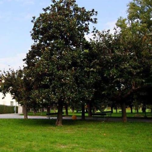 Cascina Marchesa Restaurant & Resort, Torino