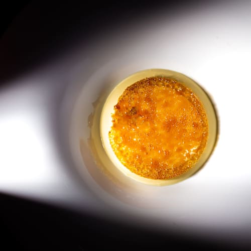 Stefano Mocellin al Padovanino, Padova