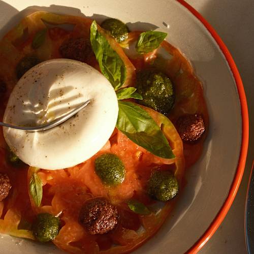 Club Mediterraneo, Barcelona