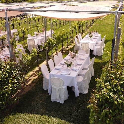 Podere Riosto - Cantina e Agriturismo, Pianoro