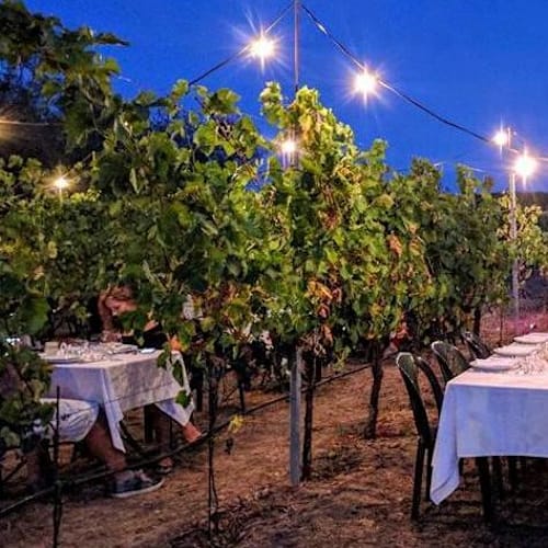 Podere Riosto - Cantina e Agriturismo, Pianoro