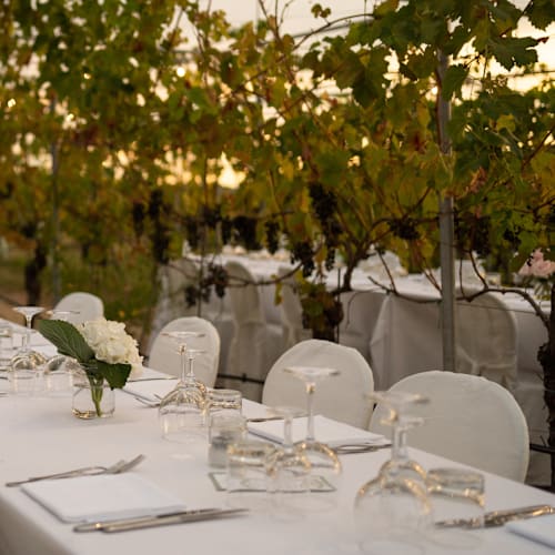 Podere Riosto - Cantina e Agriturismo, Pianoro