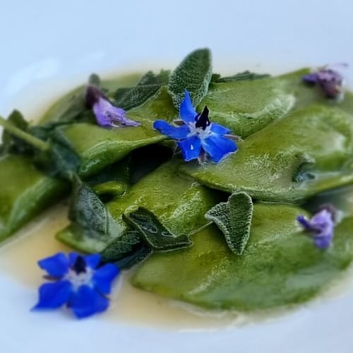 Ristorante Terraforte, Castellina Marittima