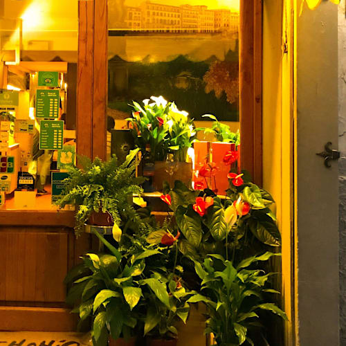 Trattoria Pandemonio, Firenze