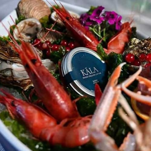 Aquarium Fish Restaurant, San Felice a Cancello