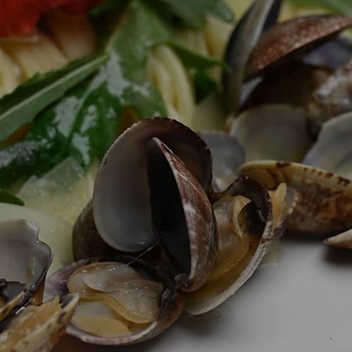 Aquarium Fish Restaurant, San Felice a Cancello