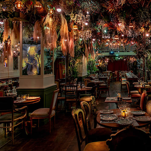 Jungle Palace Paris by Ephemera, Paris
