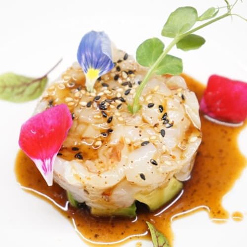Sushi Koi Pergine, Pergine Valsugana