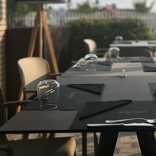 Albatross, San Leone