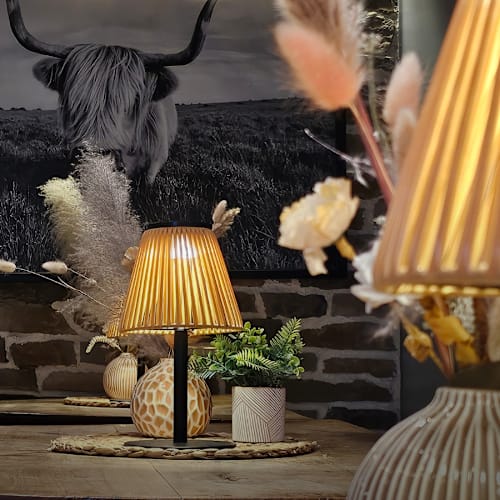 Cafe de la Poste, Puplinge