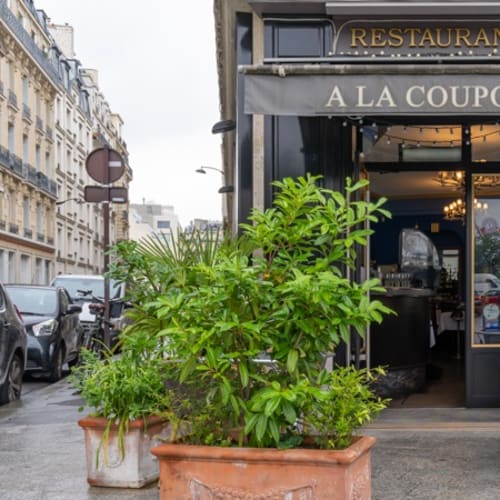 A La Coupole - Neuilly sur Seine, Neuilly-sur-Seine