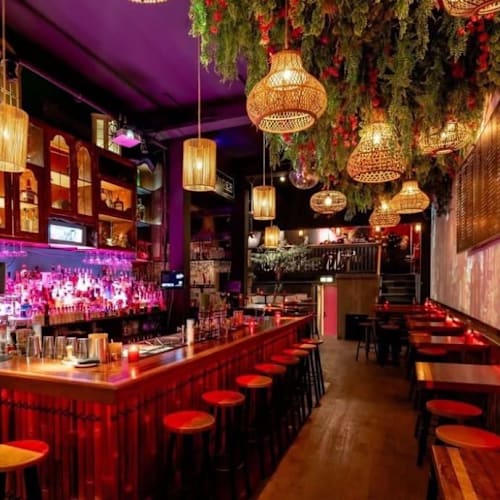 Bar Tender, Rotterdam