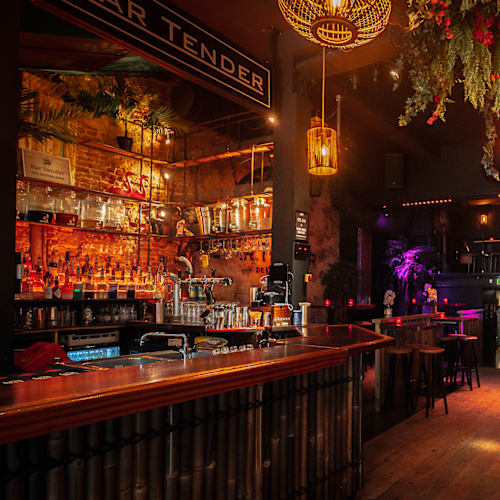 Bar Tender, Rotterdam