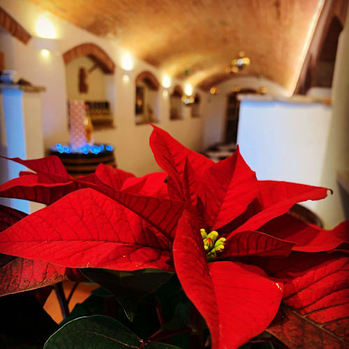 Quinto Canto, Gradara