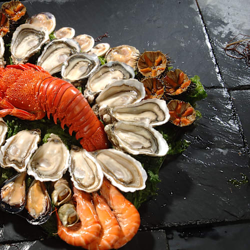 Coquillages du Roy René (Poissons - Coquillages), Aix-en-Provence
