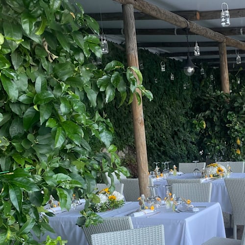 Ristorante Holidays fico d'india AmalfiCoast, Furore