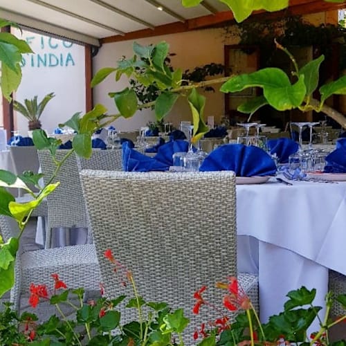 Ristorante Holidays fico d'india AmalfiCoast, Furore