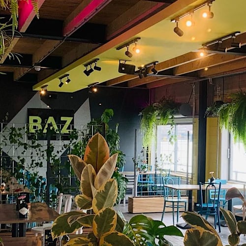Baz, Zaandam