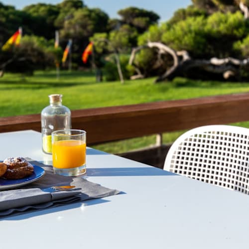 Restaurante La Barraca - Parador del Saler, Valencia