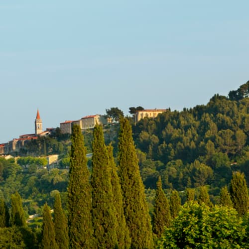 Riva, La Cadière-d'Azur
