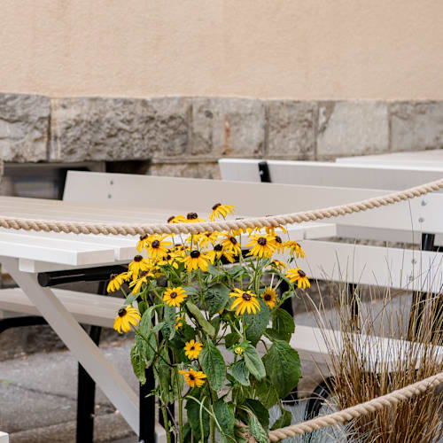 Iris Café-Restaurant-Bar, Lausanne