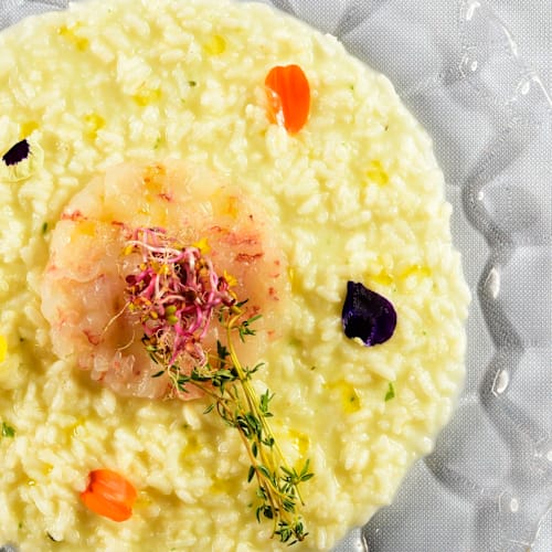 Crudo di Mare, Marina di Bibbona