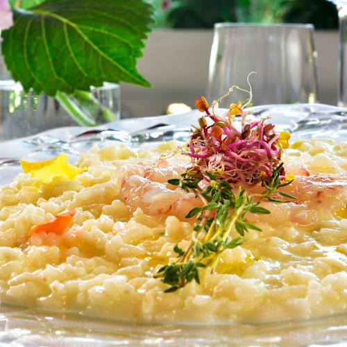 Crudo di Mare, Marina di Bibbona