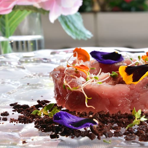 Crudo di Mare, Marina di Bibbona
