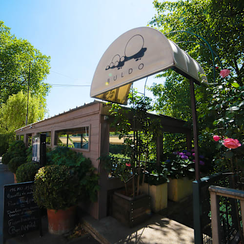 Le Buldo, Lyon