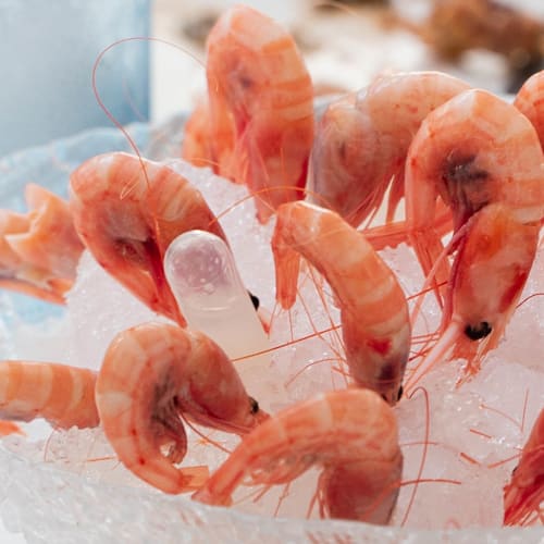 La Terraza de la Pescadería, Elx