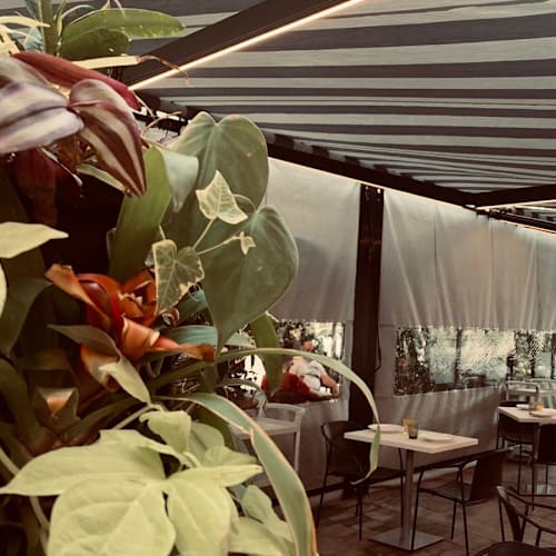 La Terraza de la Pescadería, Elx