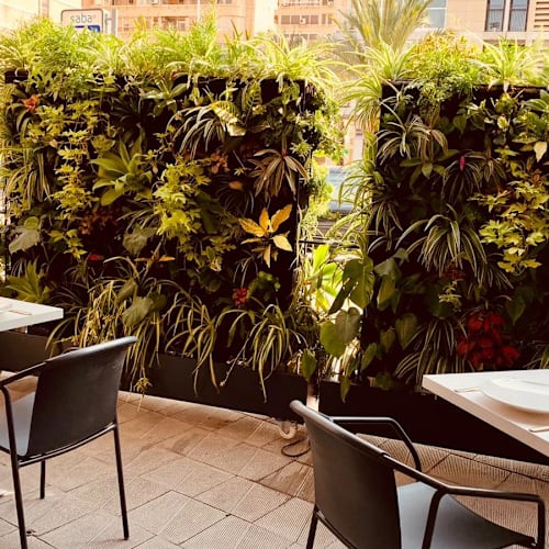 La Terraza de la Pescadería, Elx