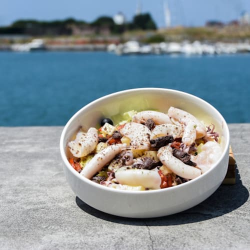 Sciuscella, Livorno