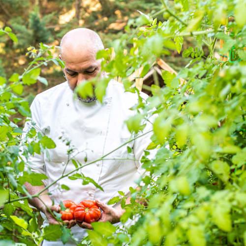 Il Battibecco, Impruneta