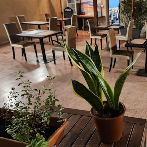 22 Frasi - Specialità Gastronomiche Pugliesi, Bari