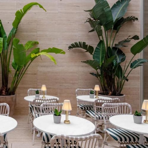 Avenida Restaurant & Bar, Lisboa