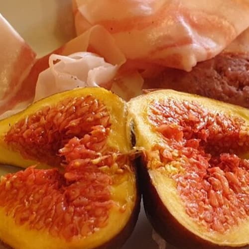 Cascina Tensi, San Nazzaro Sesia