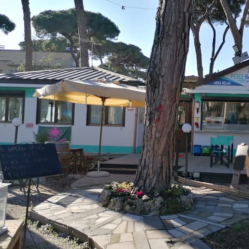 Pesce Balocco, Viareggio