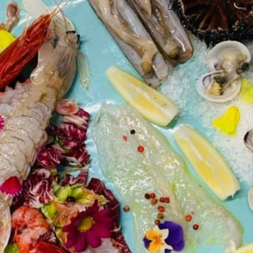 Pesce Balocco, Viareggio