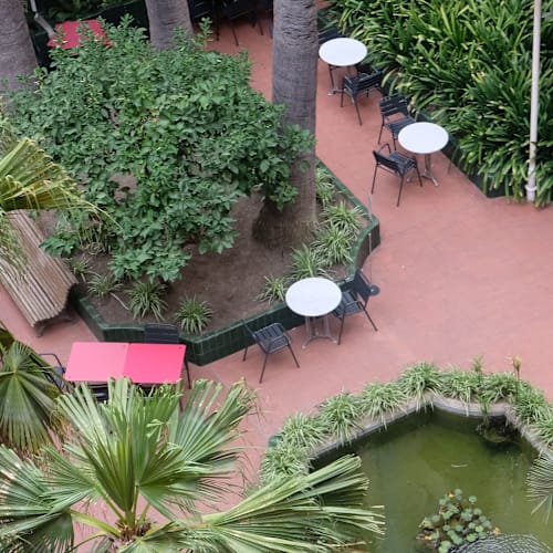 El Jardí de L'Ateneu, Barcelona