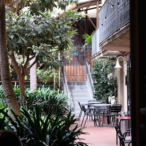 El Jardí de L'Ateneu, Barcelona